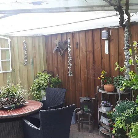 Daire 1 Raum Mit Kuechenzeile In *