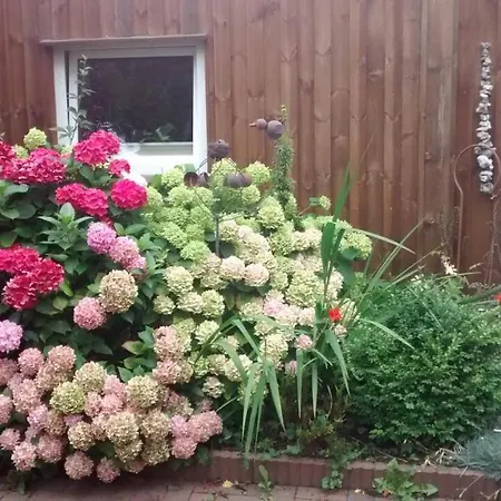 1 Raum Mit Kuechenzeile In Daire *