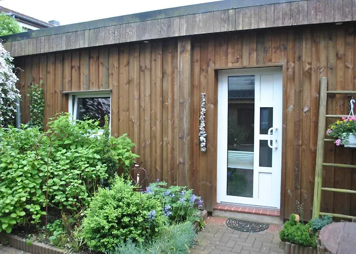 Apartment 1 Raum Mit Kuechenzeile In